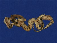 藏品(龜殼花)的圖片